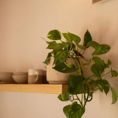 Restia Apartamento Donousa