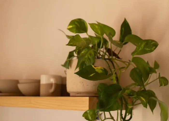 Restia Apartamento Donoussa